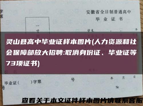灵山县高中毕业证样本图片(人力资源和社会保障部放大招聘:取消身份证、毕业证等73项证书)缩略图