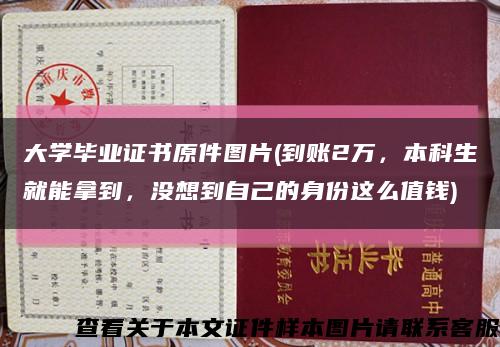 大学毕业证书原件图片(到账2万，本科生就能拿到，没想到自己的身份这么值钱)缩略图
