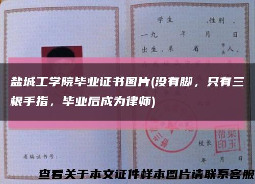 盐城工学院毕业证书图片(没有脚，只有三根手指，毕业后成为律师)缩略图