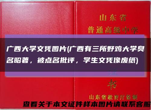 广西大学文凭图片(广西有三所野鸡大学臭名昭著，被点名批评，学生文凭像废纸)缩略图