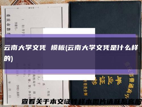 云南大学文凭 模板(云南大学文凭是什么样的)缩略图