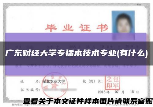 广东财经大学专插本技术专业(有什么)缩略图