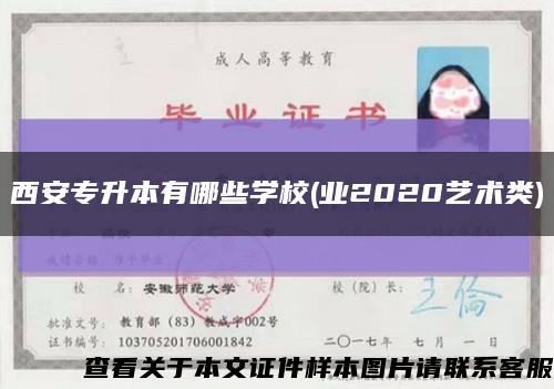 西安专升本有哪些学校(业2020艺术类)缩略图