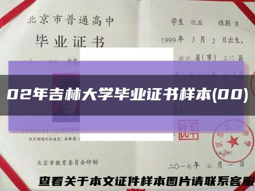 02年吉林大学毕业证书样本(00)缩略图