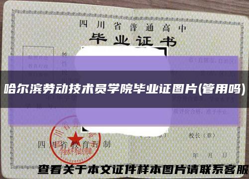 哈尔滨劳动技术员学院毕业证图片(管用吗)缩略图