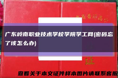 广东岭南职业技术学校学院学工网(密码忘了该怎么办)缩略图