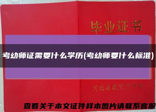 考幼师证需要什么学历(考幼师要什么标准)缩略图