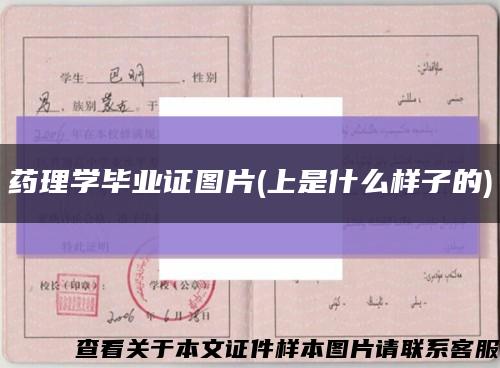药理学毕业证图片(上是什么样子的)缩略图