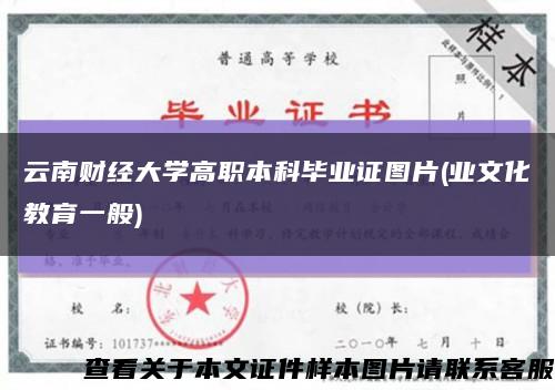 云南财经大学高职本科毕业证图片(业文化教育一般)缩略图