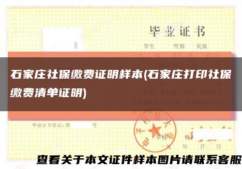 石家庄社保缴费证明样本(石家庄打印社保缴费清单证明)缩略图