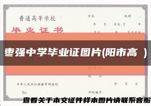 枣强中学毕业证图片(阳市高級)缩略图
