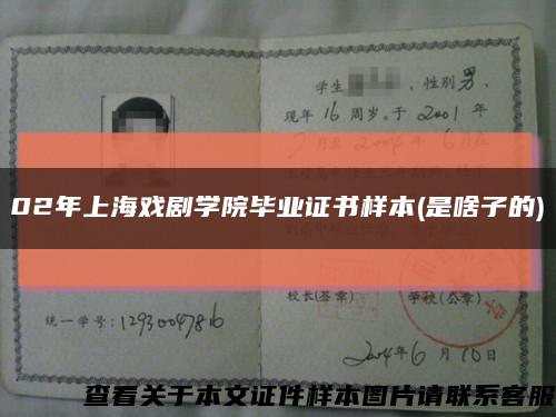02年上海戏剧学院毕业证书样本(是啥子的)缩略图