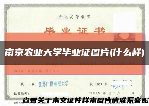 南京农业大学毕业证图片(什么样)缩略图
