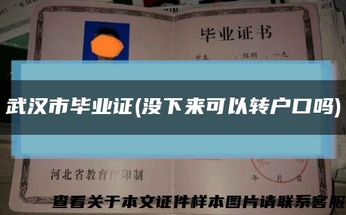 武汉市毕业证(没下来可以转户口吗)缩略图