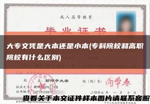 大专文凭是大本还是小本(专科院校和高职院校有什么区别)缩略图