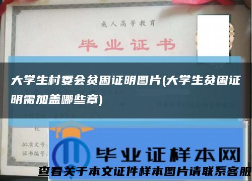 大学生村委会贫困证明图片(大学生贫困证明需加盖哪些章)缩略图