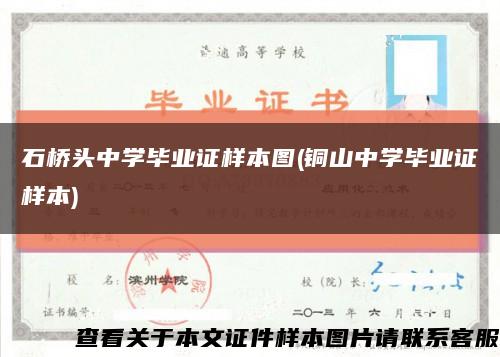 石桥头中学毕业证样本图(铜山中学毕业证样本)缩略图