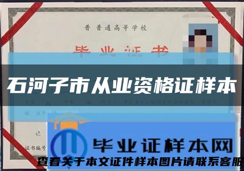 石河子市从业资格证样本缩略图