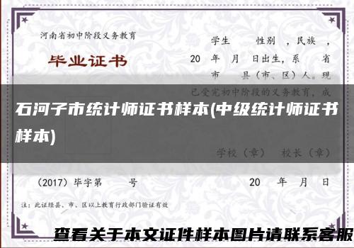 石河子市统计师证书样本(中级统计师证书样本)缩略图