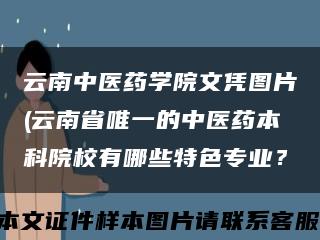 云南中医药学院文凭图片(云南省唯一的中医药本科院校有哪些特色专业？缩略图