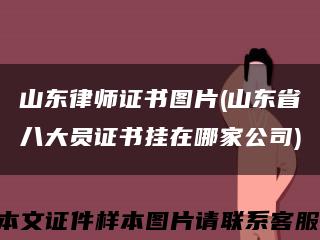 山东律师证书图片(山东省八大员证书挂在哪家公司)缩略图
