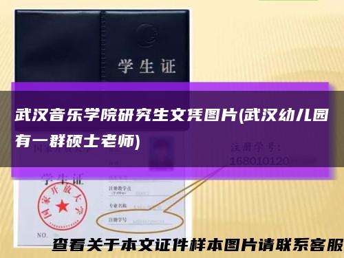 武汉音乐学院研究生文凭图片(武汉幼儿园有一群硕士老师)缩略图