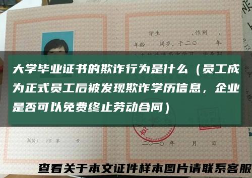大学毕业证书的欺诈行为是什么（员工成为正式员工后被发现欺诈学历信息，企业是否可以免费终止劳动合同）缩略图