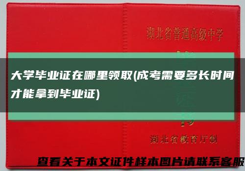 大学毕业证在哪里领取(成考需要多长时间才能拿到毕业证)缩略图