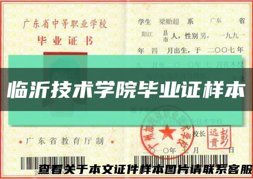 临沂技术学院毕业证样本缩略图