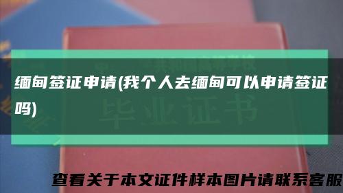 缅甸签证申请(我个人去缅甸可以申请签证吗)缩略图