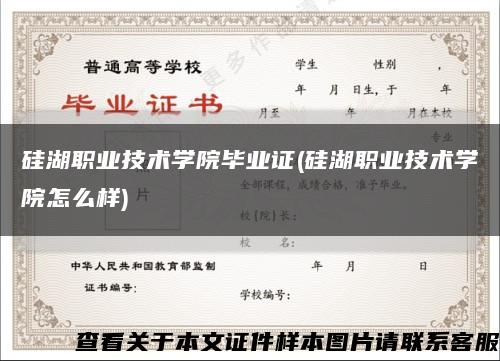 硅湖职业技术学院毕业证(硅湖职业技术学院怎么样)缩略图