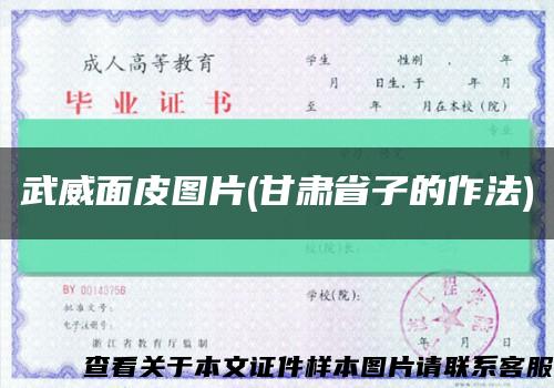 武威面皮图片(甘肃省子的作法)缩略图