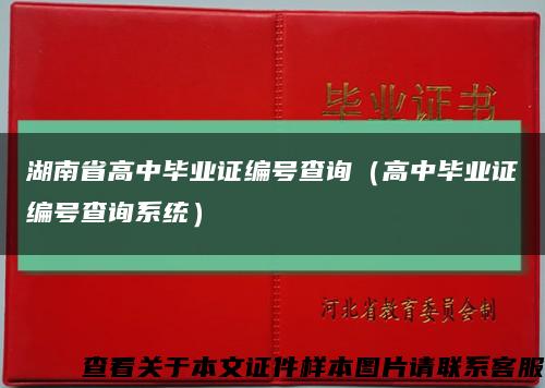 湖南省高中毕业证编号查询（高中毕业证编号查询系统）缩略图