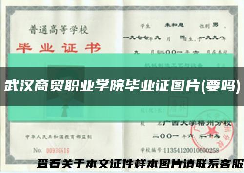 武汉商贸职业学院毕业证图片(要吗)缩略图