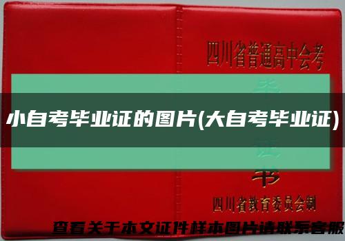 小自考毕业证的图片(大自考毕业证)缩略图