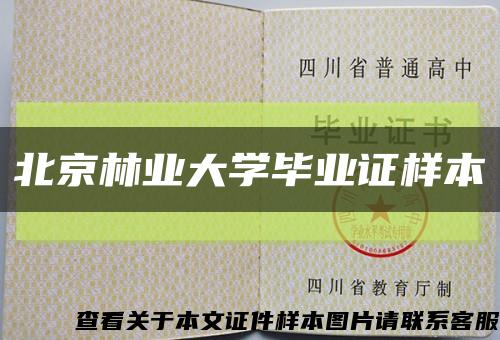 北京林业大学毕业证样本缩略图