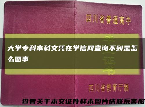 大学专科本科文凭在学信网查询不到是怎么回事缩略图