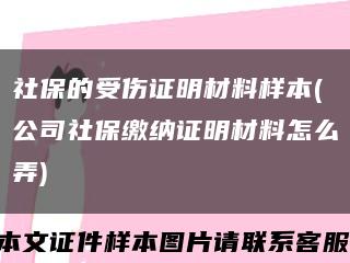 社保的受伤证明材料样本(公司社保缴纳证明材料怎么弄)缩略图