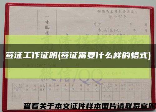 签证工作证明(签证需要什么样的格式)缩略图