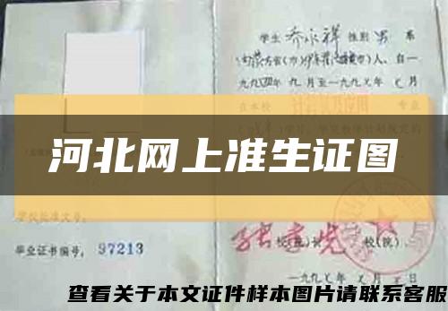 河北网上准生证图缩略图