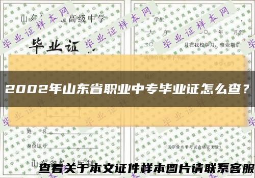 2002年山东省职业中专毕业证怎么查？缩略图