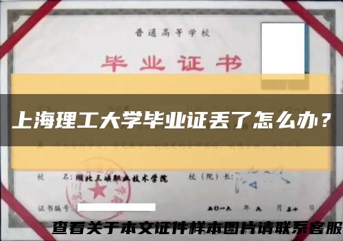 上海理工大学毕业证丢了怎么办？缩略图