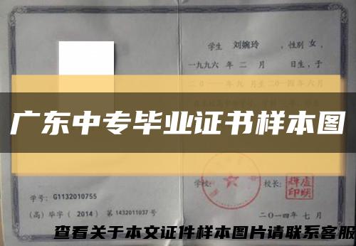广东中专毕业证书样本图缩略图