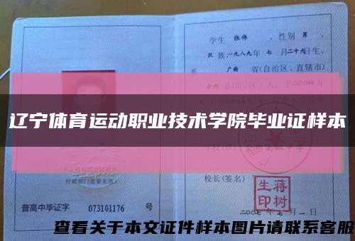 辽宁体育运动职业技术学院毕业证样本缩略图