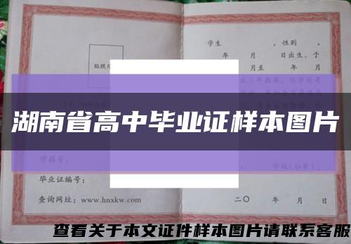 湖南省高中毕业证样本图片缩略图