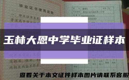 玉林大恩中学毕业证样本缩略图