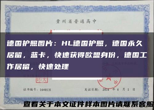 德国护照图片：HL德国护照，德国永久居留，蓝卡，快速获得欧盟身份，德国工作居留，快速处理缩略图