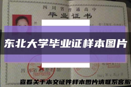 东北大学毕业证样本图片缩略图