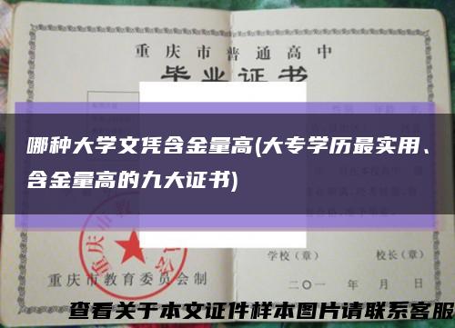 哪种大学文凭含金量高(大专学历最实用、含金量高的九大证书)缩略图
