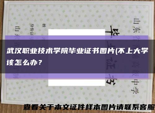 武汉职业技术学院毕业证书图片(不上大学该怎么办？缩略图